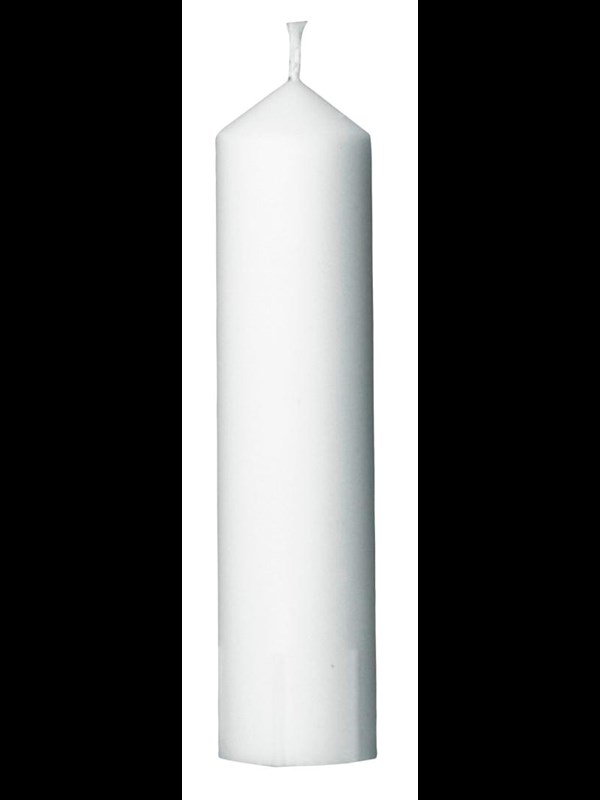 Gilleljus-1 pack 50200-P