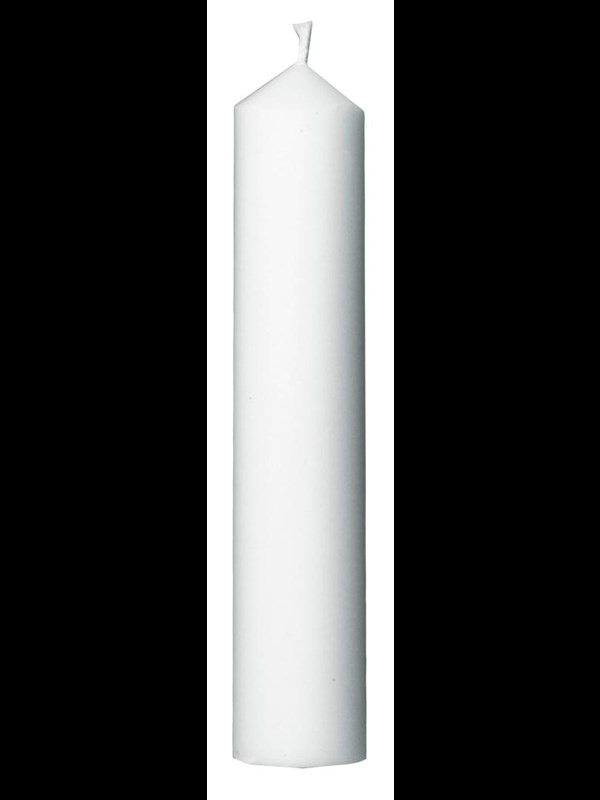 Gilleljus-1 pack 50250-P