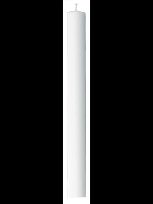 Gilleljus-1 pack 50500-P 