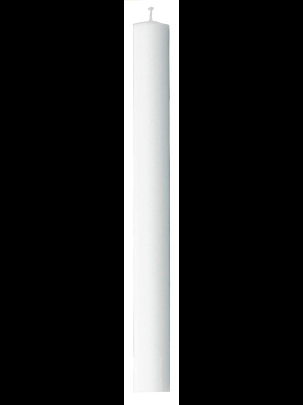 Gilleljus-1 pack 50500-P 